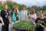 Лето - это маленькая жизнь